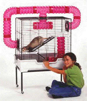 /user/4storycage.gif