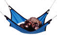 /user/Ahammock.gif
