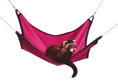 /user/hammockPNK.jpg