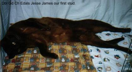 /user/jessejames.jpg