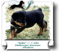 Babe at 7 weeks