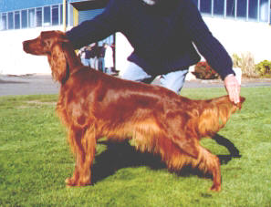 Fallon