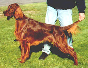 Magee