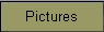 Pictures