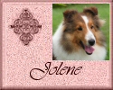 jolenebutton.JPG (2706 bytes)