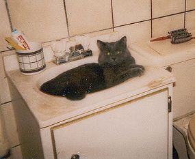 pic