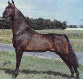 Bemington