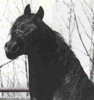 Another picture of High Beam