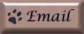 email button