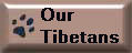 Our Tibetans