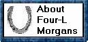 About Four-L-Morgans