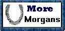 Other Four-L-Morgans