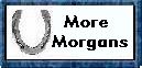 Other 4-L-Morgans
