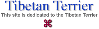 Tibetan Terrier Site