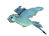 animated bird flying