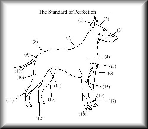 Standard of Perfection