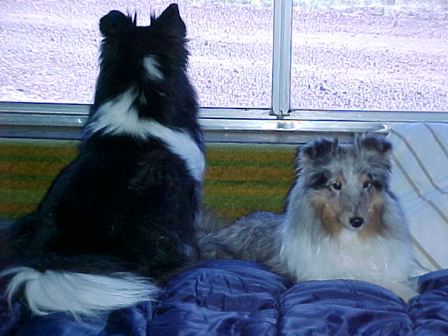 Lassa and B-B get ready for the show.