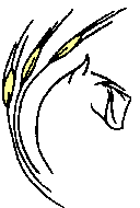 HSSC Logo