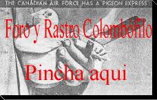 Pincha para ir al foro, o pon tu anuncio.