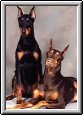Brandy and Sheena
