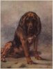 Hound Dog