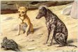 Chihuahua, Mexican Hairless and Turtle