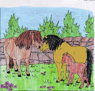 [Horses with foal]