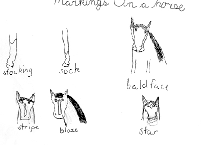 [Markings]