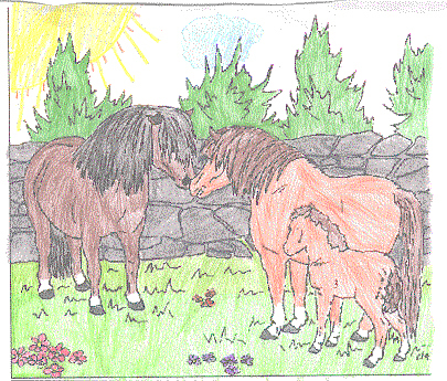 [Picture of mare and foal]
