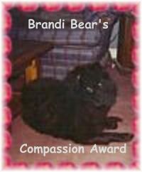 Brandi Bear's Compassion Award