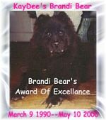 Brandi Bear's Award of Excellence