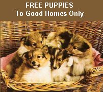 Free Pets To Good Homes