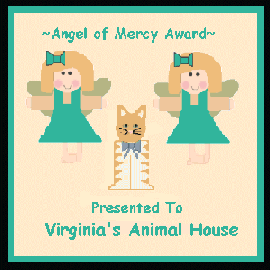 Angel Of Mercy Award