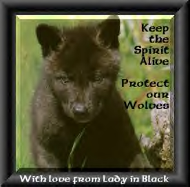 wolf gift