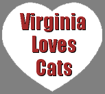 Virginia Loves Cats