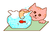 Fishtank