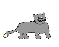 cat