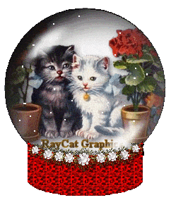 cat globe