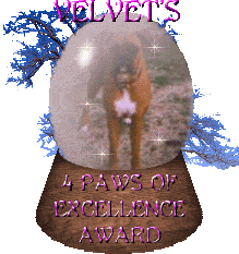 Velvet Award