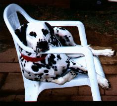 Lady in chair