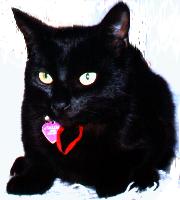 Salem