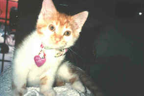 Tigger