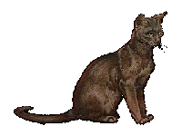 another burmese