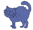 Don't make my black cat blue.