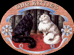 Victorian cats