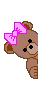 Peeking Bear