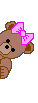 Peeking Bear