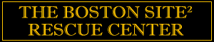 Please click here for Boston Terrier Rescue