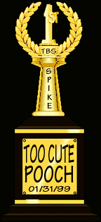 'TOO CUTE' �First Place Trophy Click to view winners page.