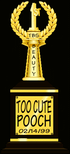 'TOO CUTE' � First Place Trophy Click to view winners page.